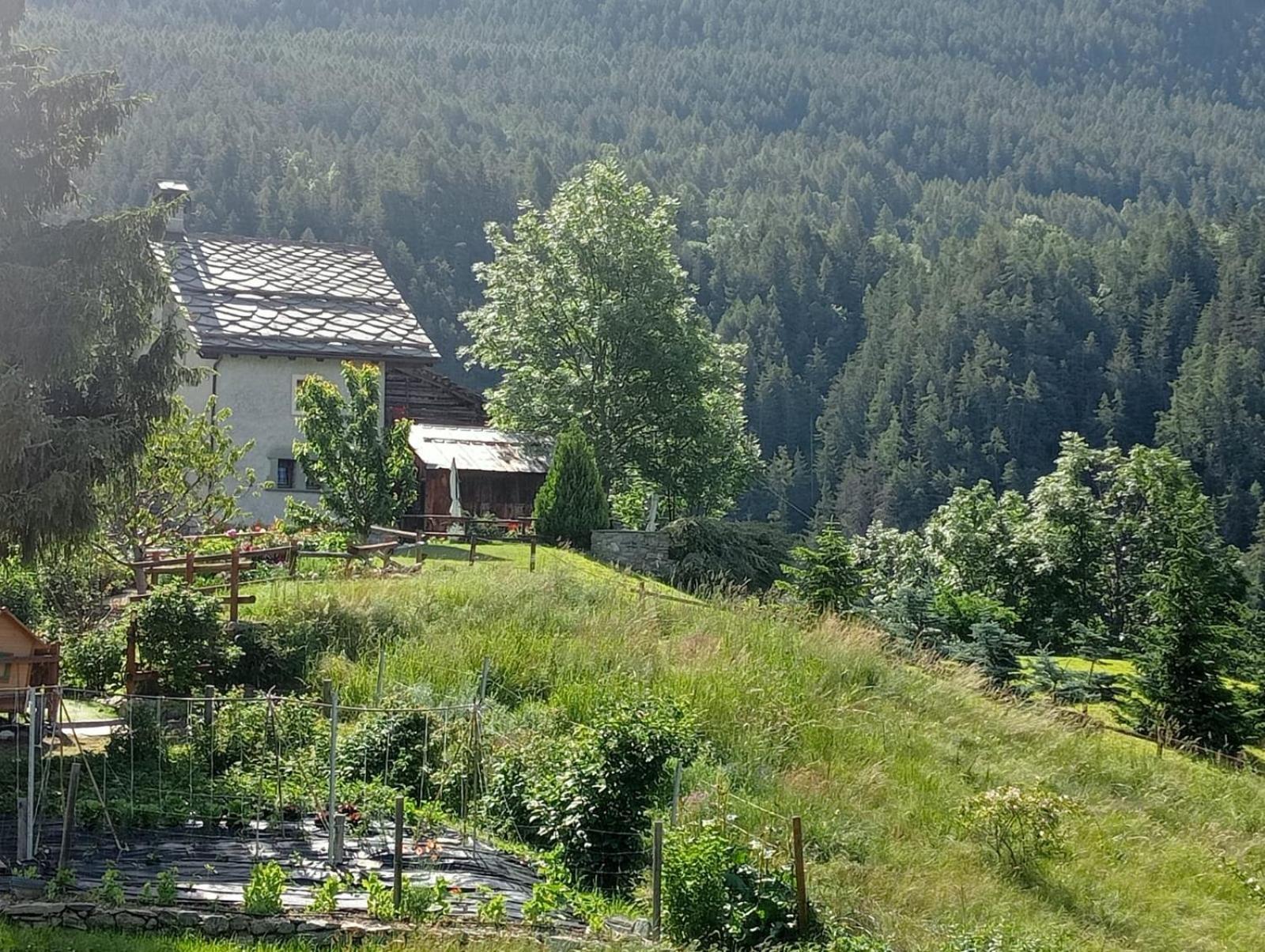 Home Sweet Home Antey-Saint-André エクステリア 写真